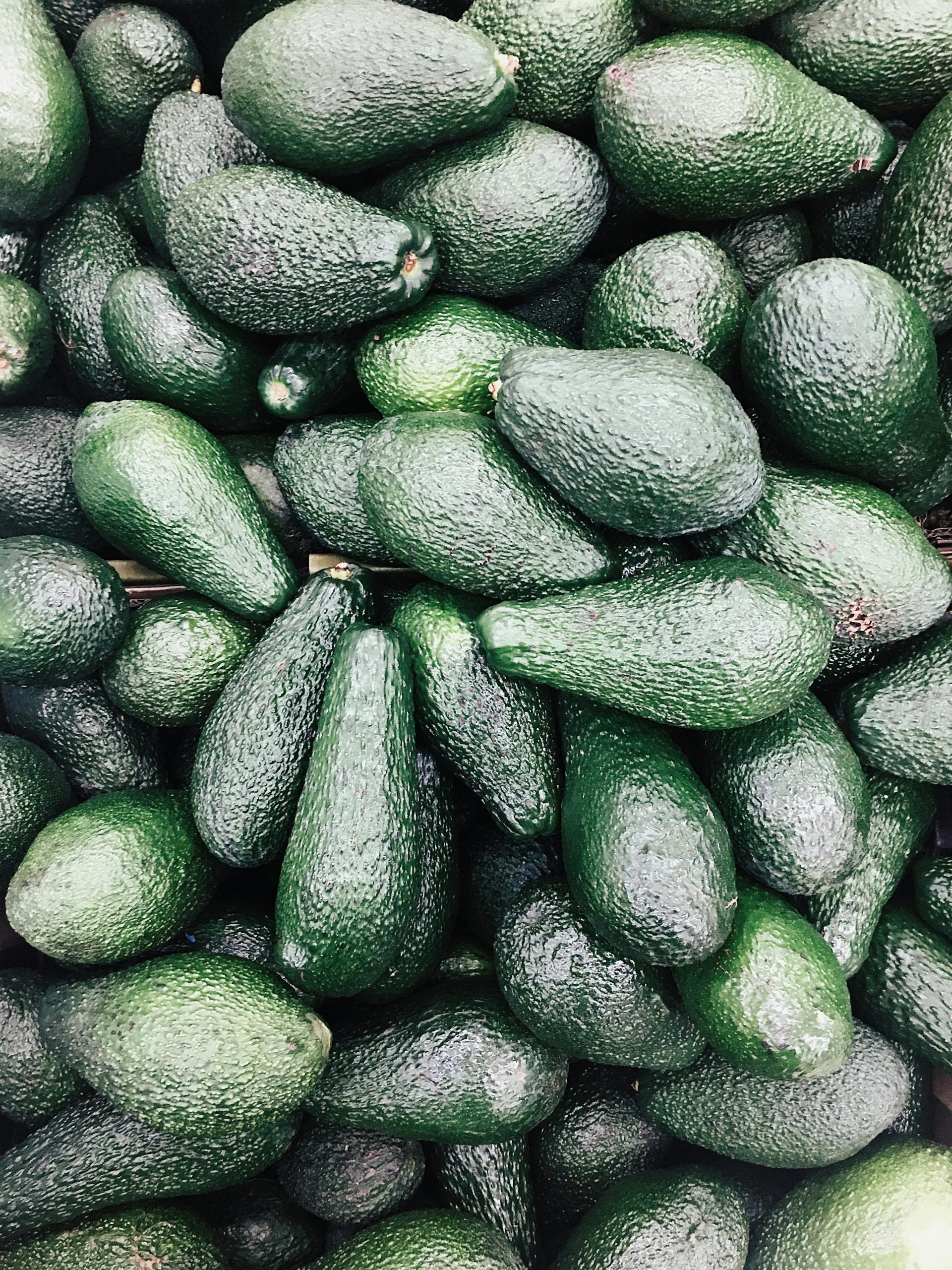 aguacate pinkerton