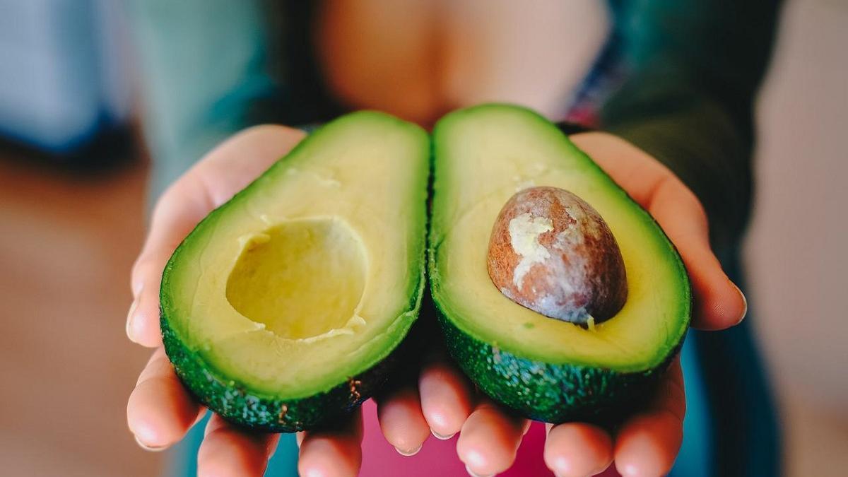 muestra de aguacate